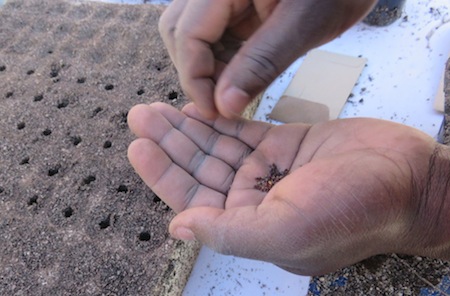 books, google, training, but mainly hands on experience are what make you a horticulturist