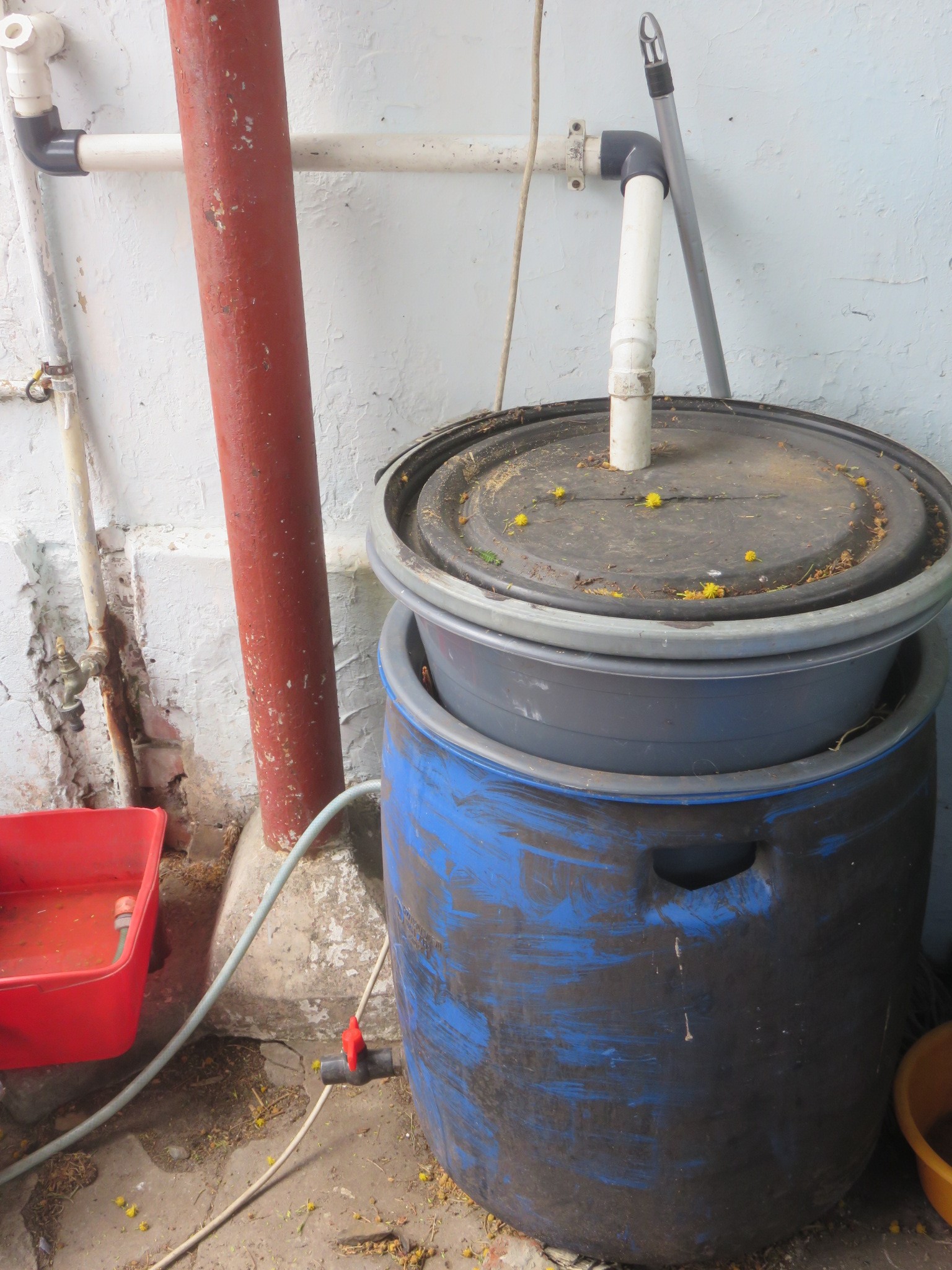The first stage of recycling grey water in our system: worm bin and fat digester barrel.