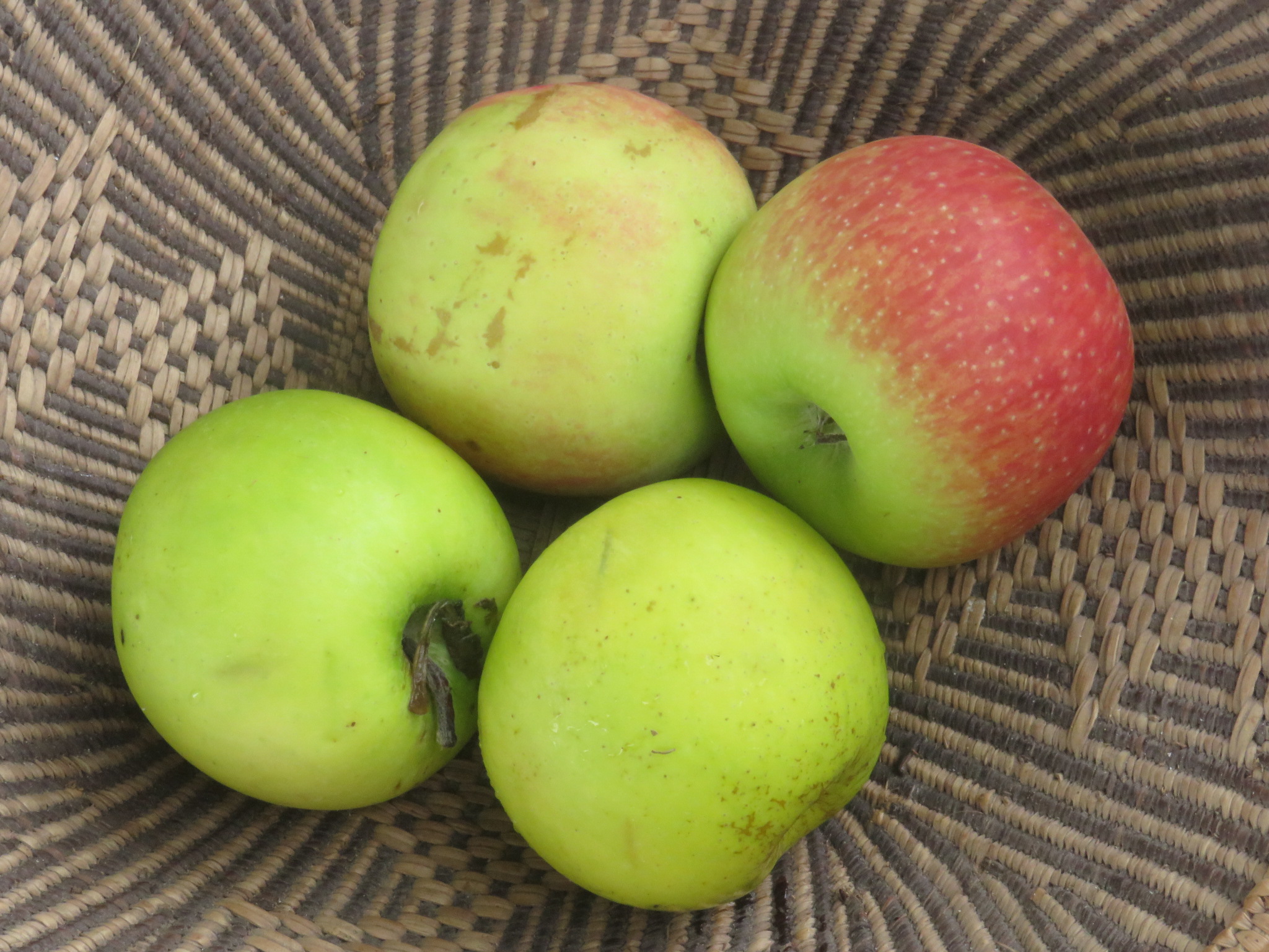 pectin rich fruit