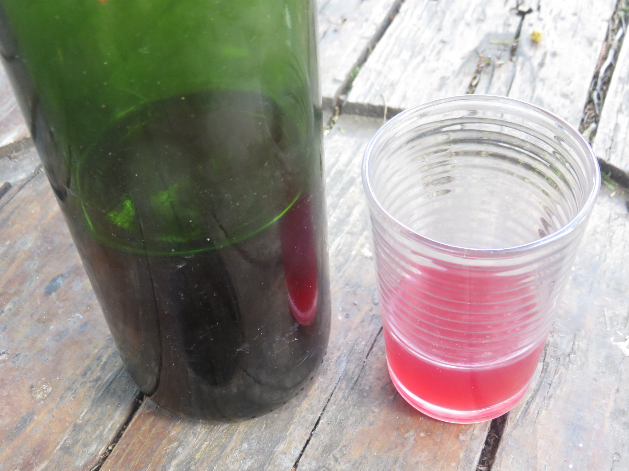 living vinegar and other ferments