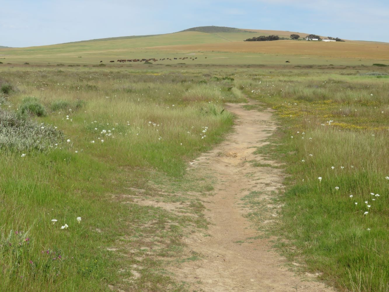 This piece of land was left to the nation by my grand uncle Tinie Versfeld.