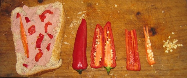 harvest seed in the kitchen from jalapeno peppers