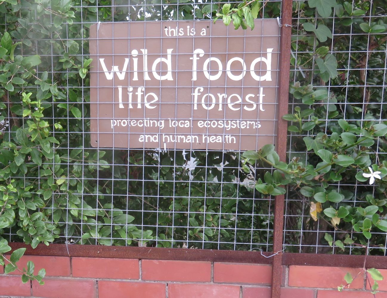 A wildlife food forest means no more war between insects and humans ! Garden for wildlife and for your own consumption using native food plants.