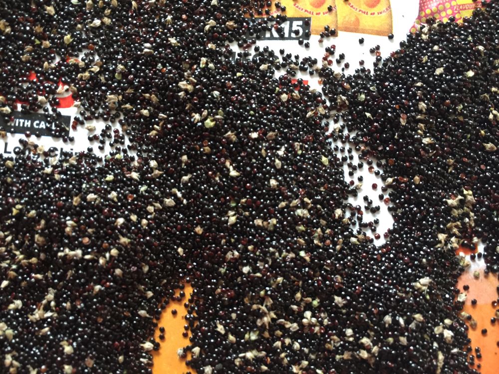 aamaranthseeds.jpg