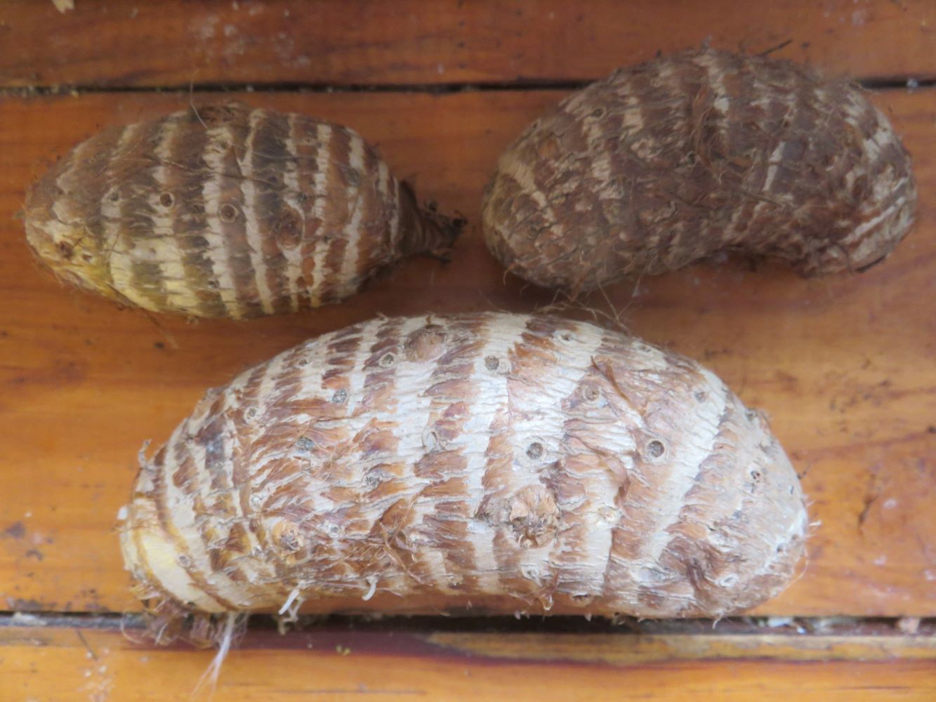 Amadumbe, Jerusalem and globe artichokes, even the humble potato, contain complex starches that feed your colon's microbiome.