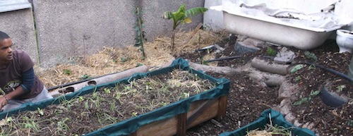 A permaculture designer in front of the start of a swale planted with a banana and then sequentially less thirsty plants.