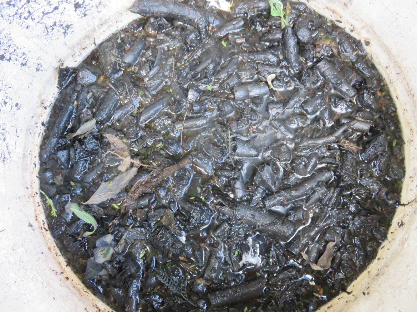 charging biochar in urine