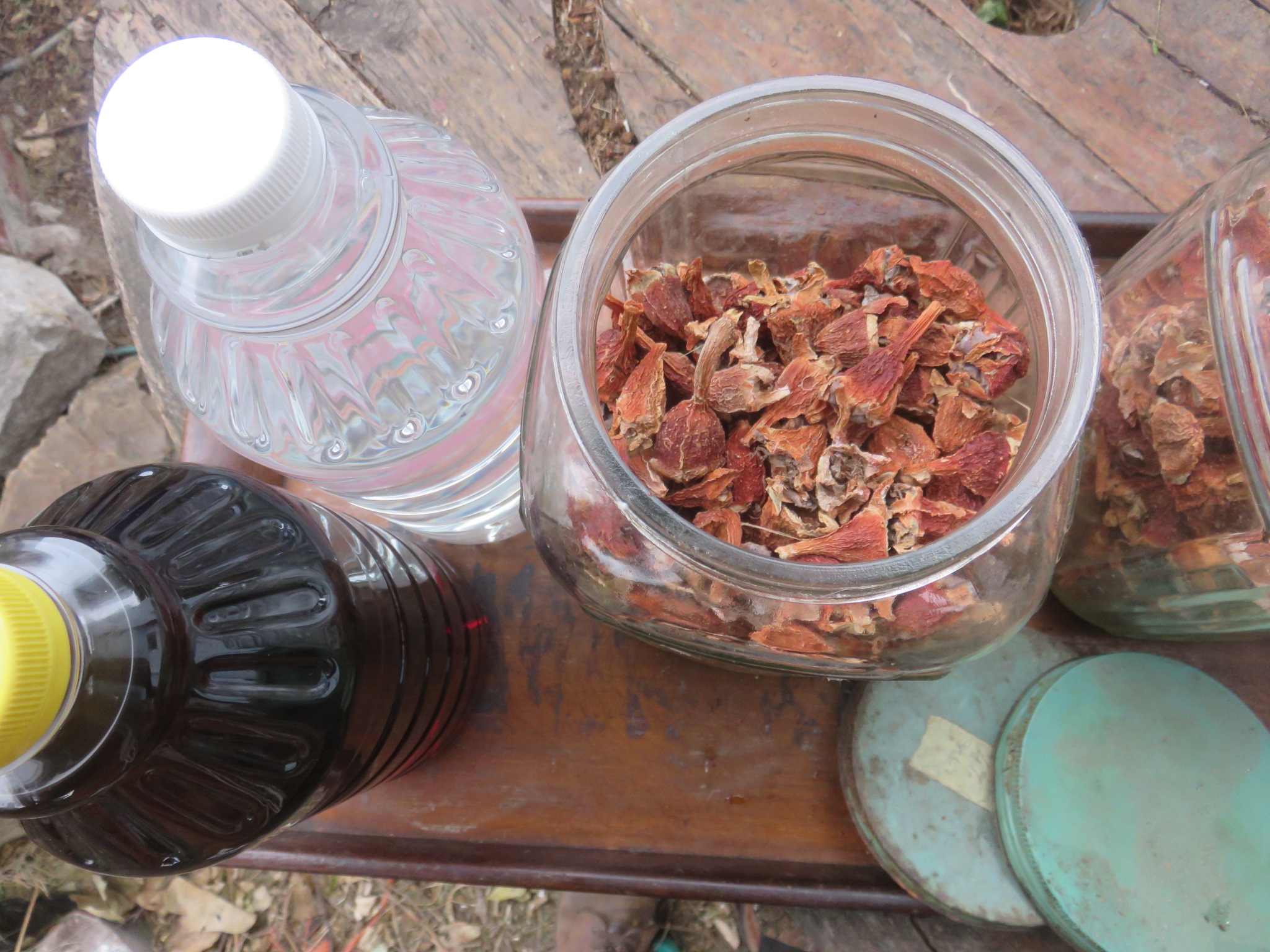 I attempt to rehydrate and pickle the dried fruit in vinegar to preserve them past the season as they dry out slowly. I can now add these mouth puckering fruit to curries.