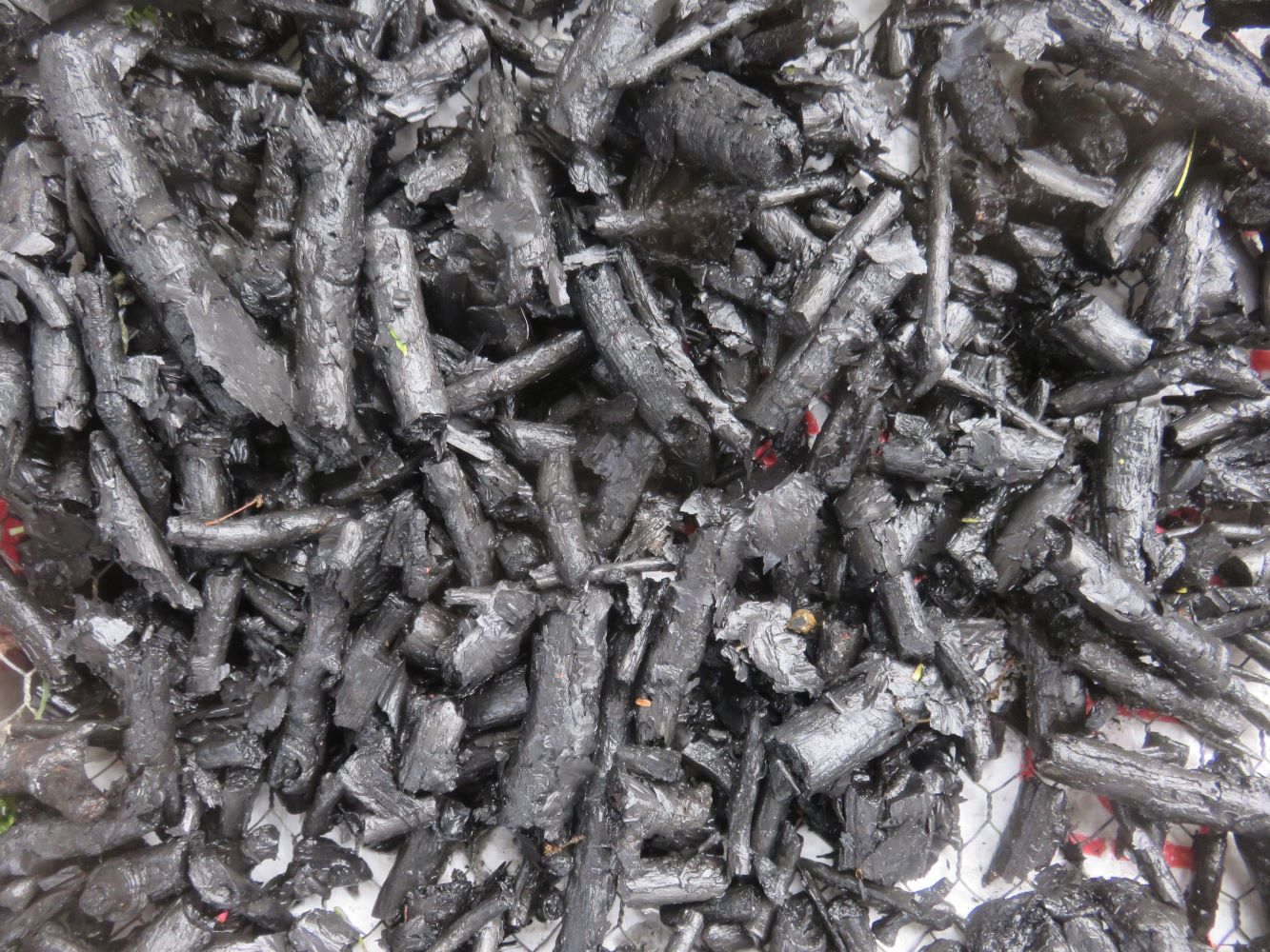 The carbon shells left over from burning anaerobically. Biochar, a fabulous soil additive for sandy infertile soils.