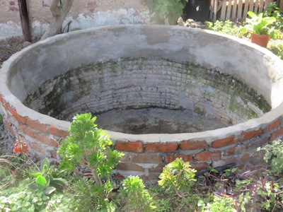 This fish pond is collecting rainwater from our roof.