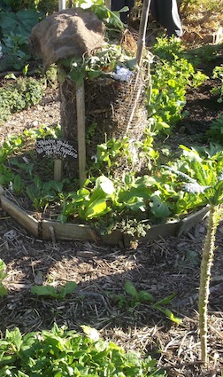 a nature modeled compost tower in Saskia's garden