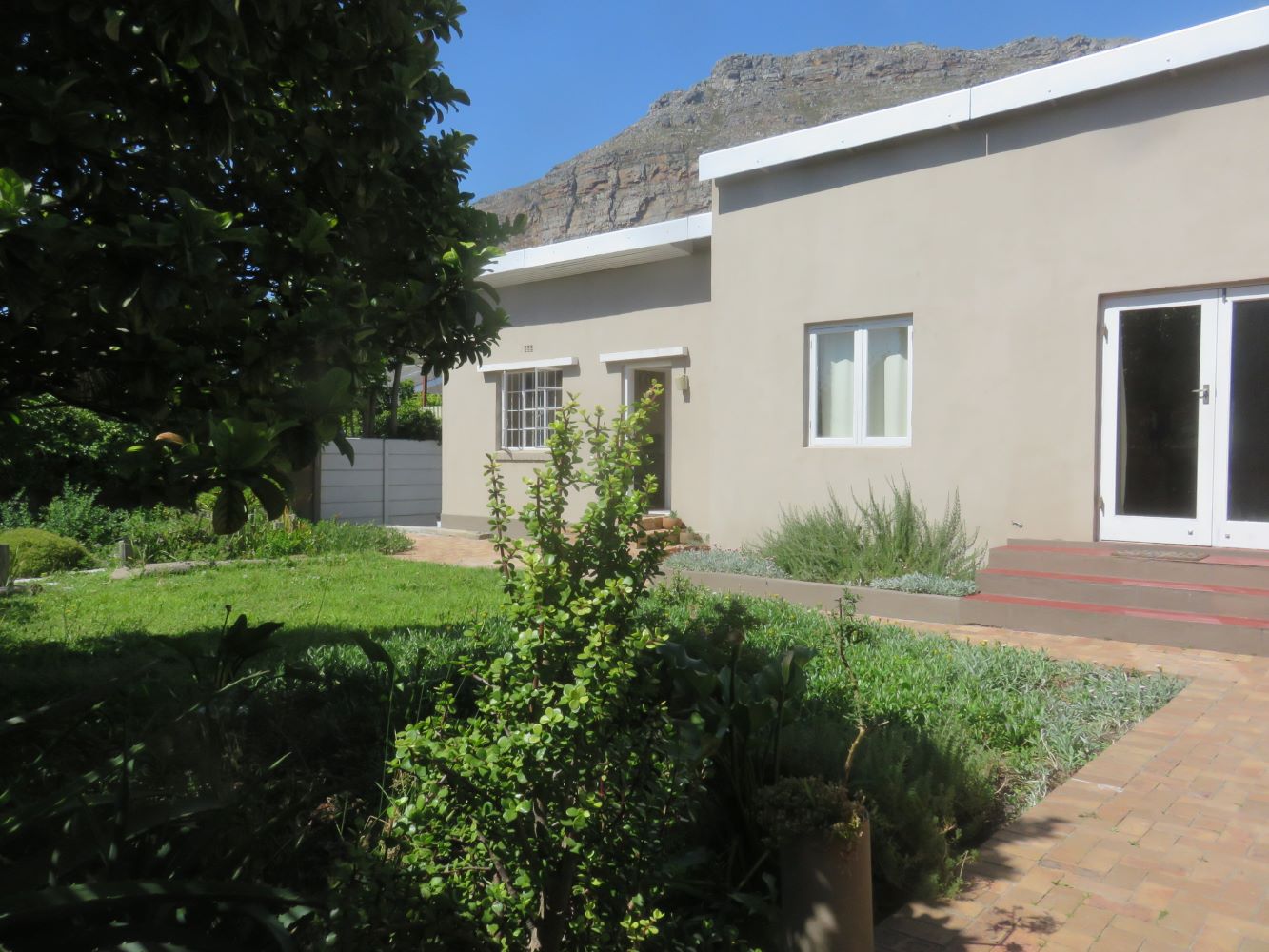 The back garden of the house on the lake at Zandvlei estuary, with Muizenberg mountain in the background.