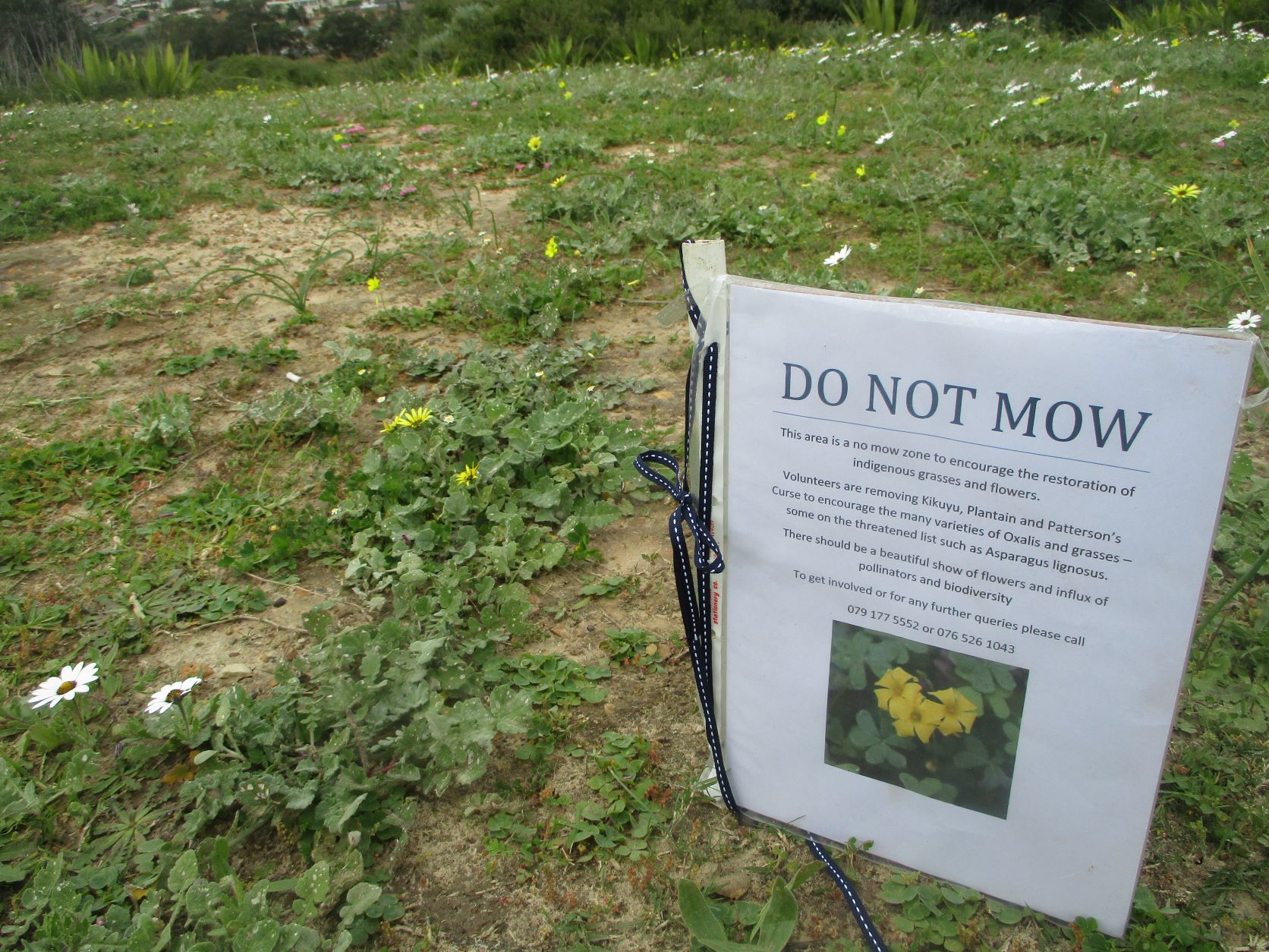 Informing the city mowers and educating others is essential