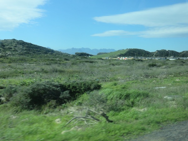 The green covered sand hills of Rocklands, Mitchelll's Plain