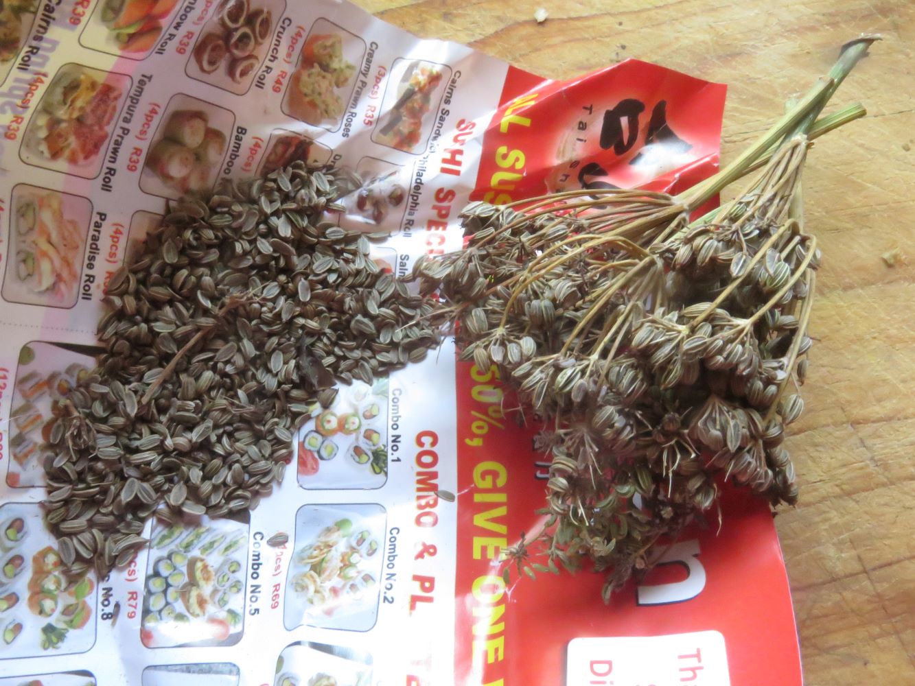 Fennel bears prolifically seed, with culinary and medicinal uses.