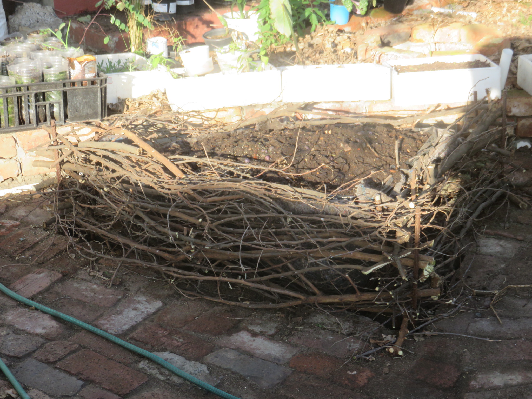 A bird's nest raised bed, built in a few hours from refuse, rags and rebar. Made to house asparagus, it is also insect friendly.