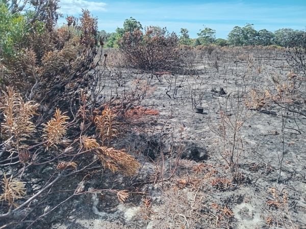 fire management