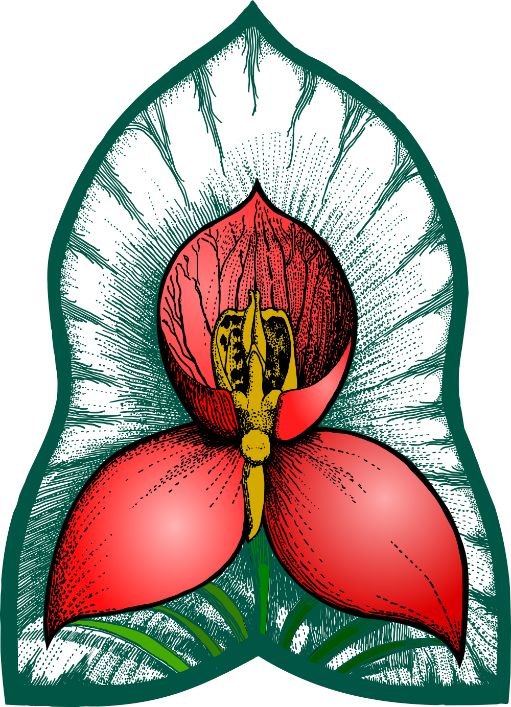 Disa uniflora in a Gothic-icon frame