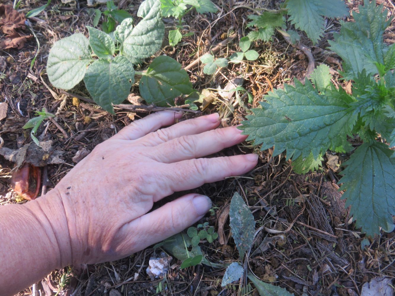 Leave the soil alone. Feed it and care for it gently.