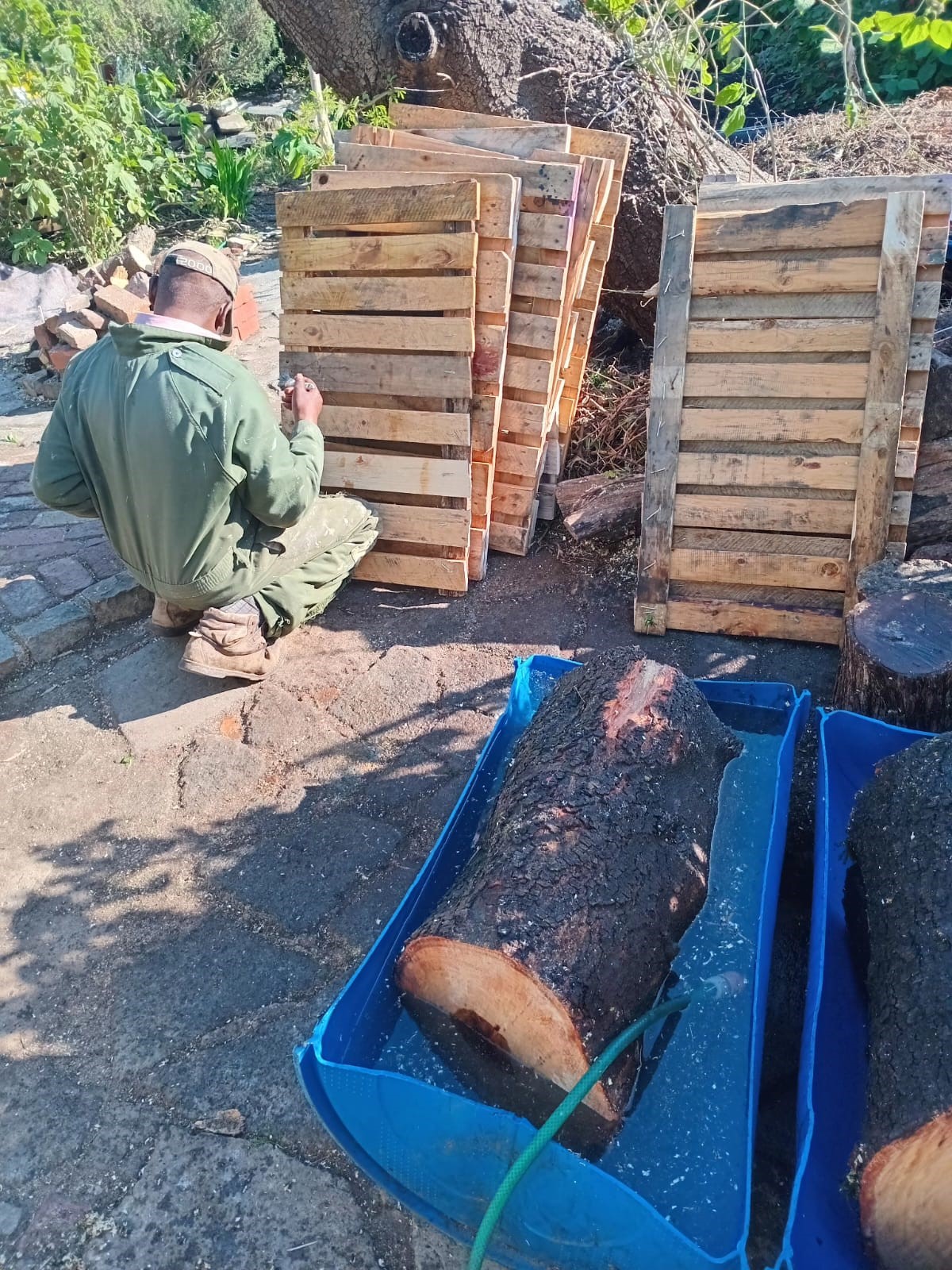 georgepaintingpalletsandlogscuring.jpeg