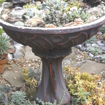 a miniature succulent garden on a pedestal