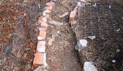 mesh laid on the ground to stop birds scratching out emerging seedlings