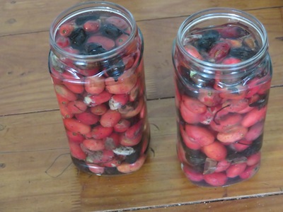 Don't use rotten fruit for vinegar, but save the seed.