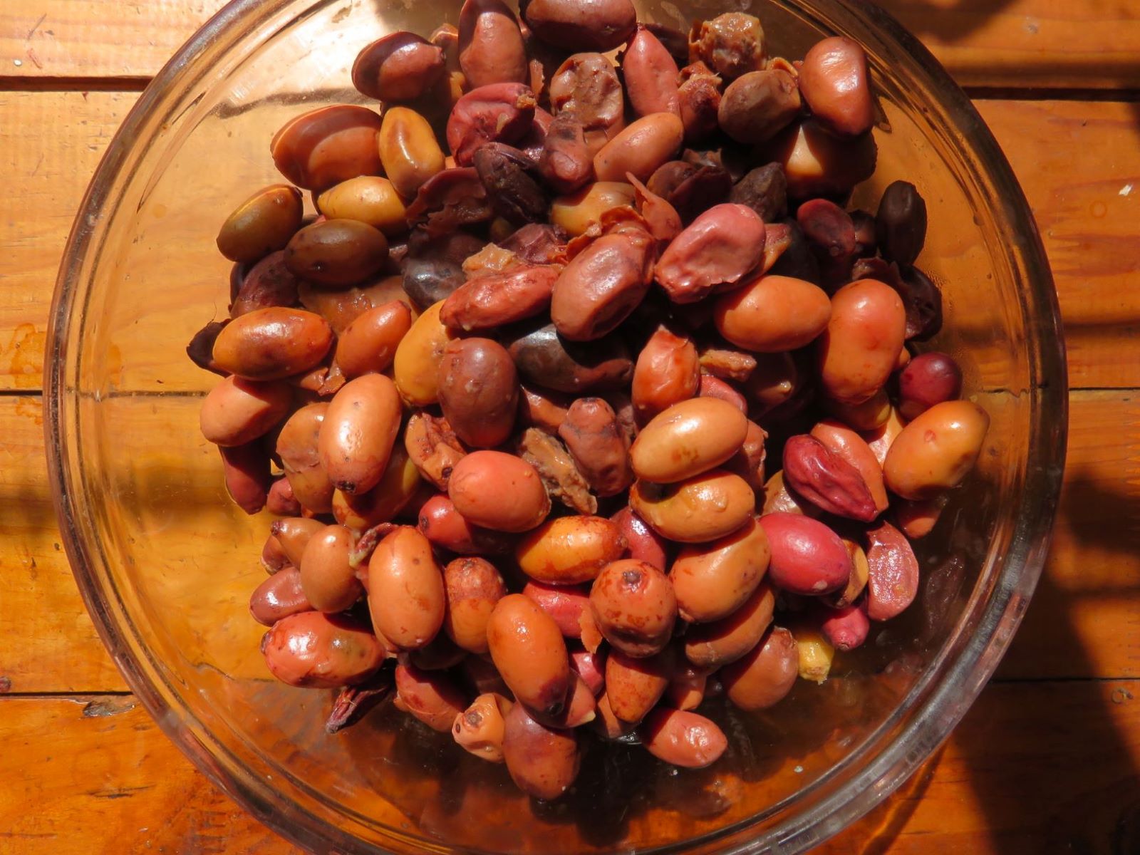 The fruit after fermentation and sorting.