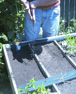 the Master gardener keeps sowing all year