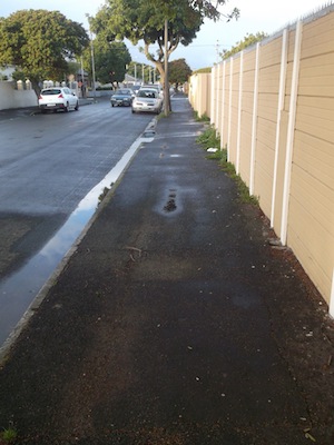 removing the trees which used to grow in this street is not how to conserve water