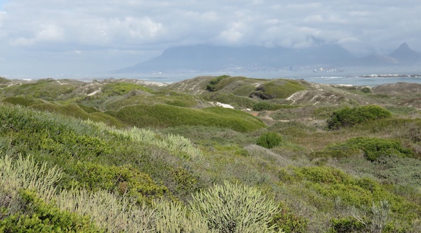 The hunter gatherer's vegetable garden as it was created