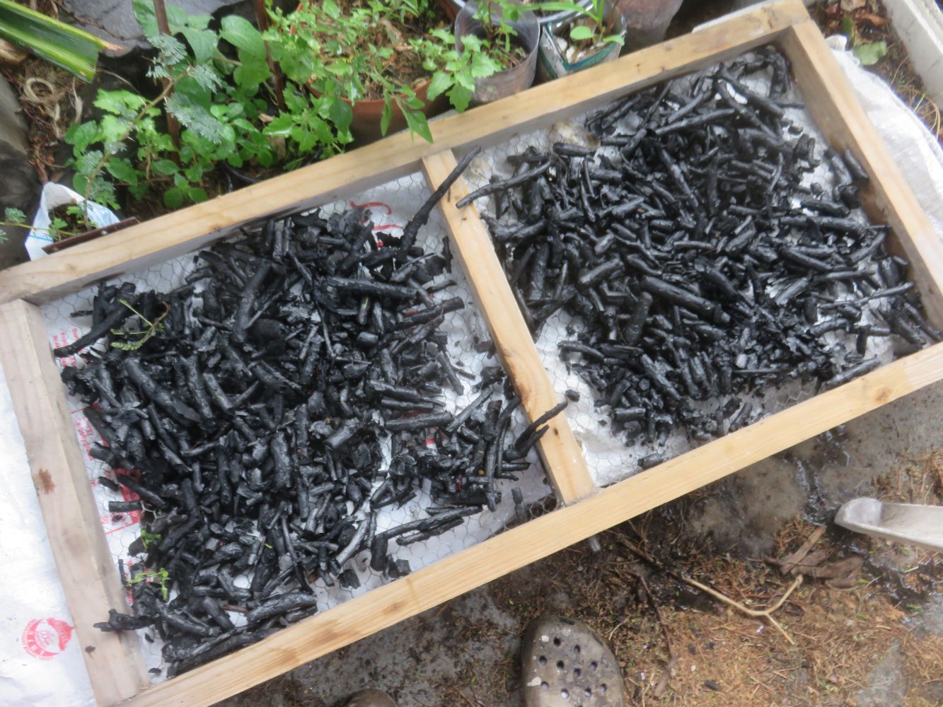 drying biochar