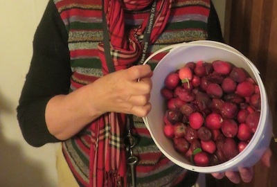 About to make home brewed vinegar with Numnum berries