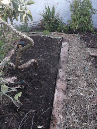 vegetable beds laid quickly and effectively without tillage