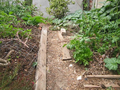 garden paths mulched with olive waste and edged with planks give access to the vegetable garden