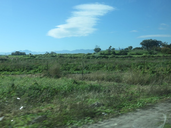 a lush corner of the Philippi urban farming area