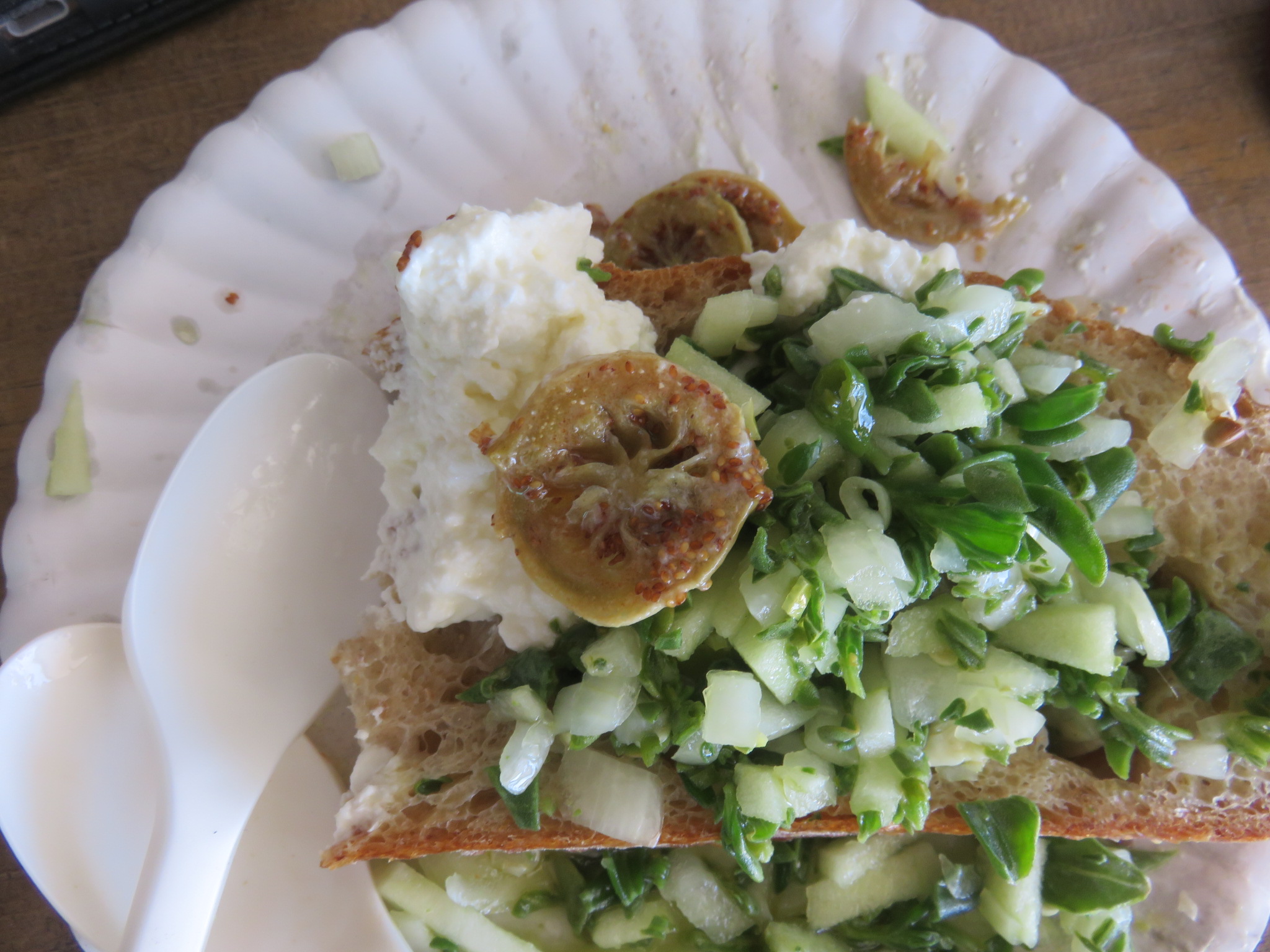 A picnic lunch with ingredients prepared by Loubie Rusch, and crowned by pickled green sour fig capsules.