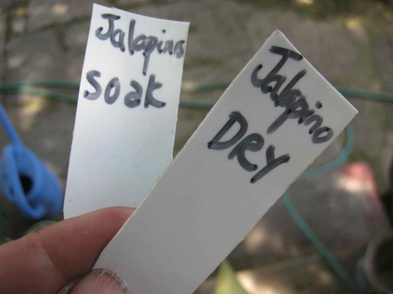 keeping track with labels cut from recycled yogurt cups