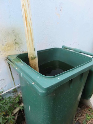 pure rain barrel