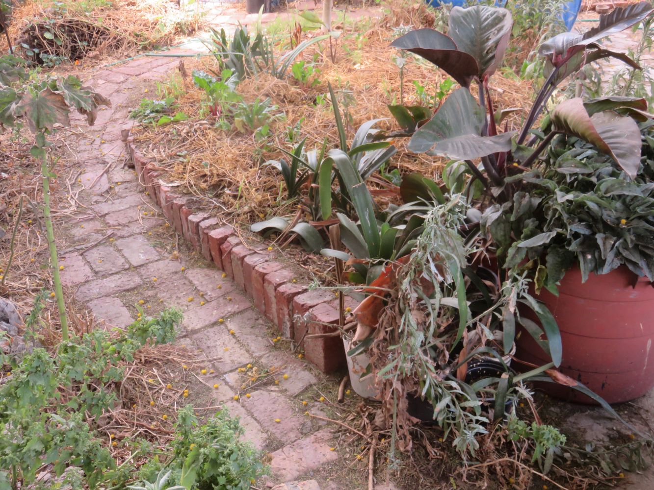 Another example where the bed is above the paving.