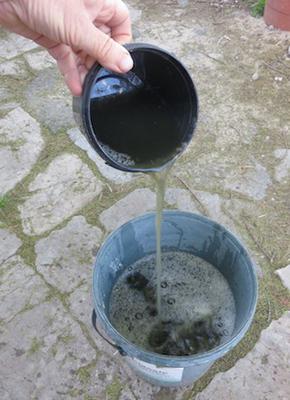 green manure added to compost