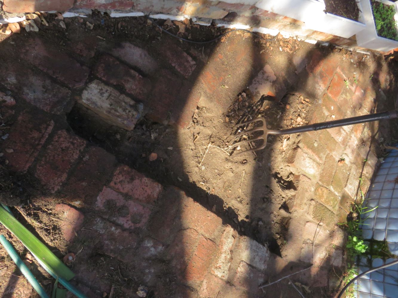 Based on the expectation that we had three asparagus bulbs, I built a triangular bed. The first stage was removing the brick paving.