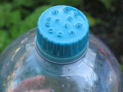 A fine seed sprinkler perfect for watering tiny growing radishes