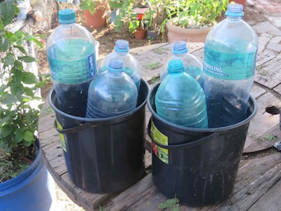 buckets and bottles for quick immersion