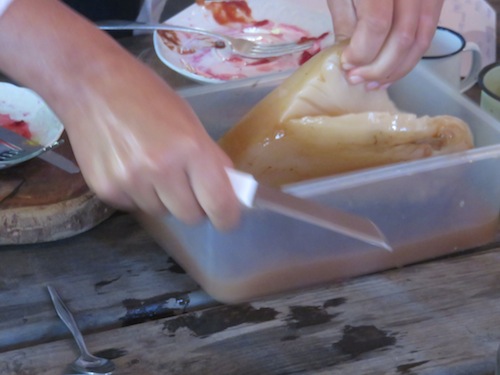 The thing that looks like chicken is a scoby, a gelatinous body build by yeast and bacteria in kombucha. We are sharing this precious gift to take home.