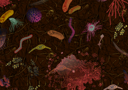 jazzy microbes