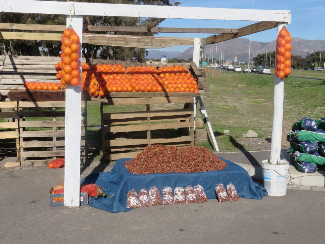 A fruit stall on the M5 near Grassy Park in Cape Town. On the right edge of the picture you can see the words 'Sour figs' which is above a massive pyramid of the dried fruit.