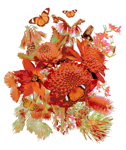 Australian Christmas flowers in fire colours.