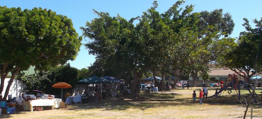 the tufco gathering, permaculture comes to in tableview