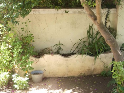 a sinuous wall planter at Irma Stern museum.
